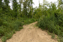 property photo for Big White Oak Tract 126, 9.1 acres for sale in Perry County, Tennessee