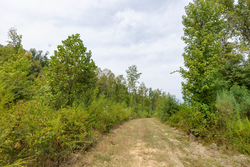 property photo for Big White Oak Tract 126, 9.1 acres for sale in Perry County, Tennessee