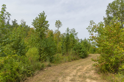 property photo for Big White Oak Tract 126, 9.1 acres for sale in Perry County, Tennessee