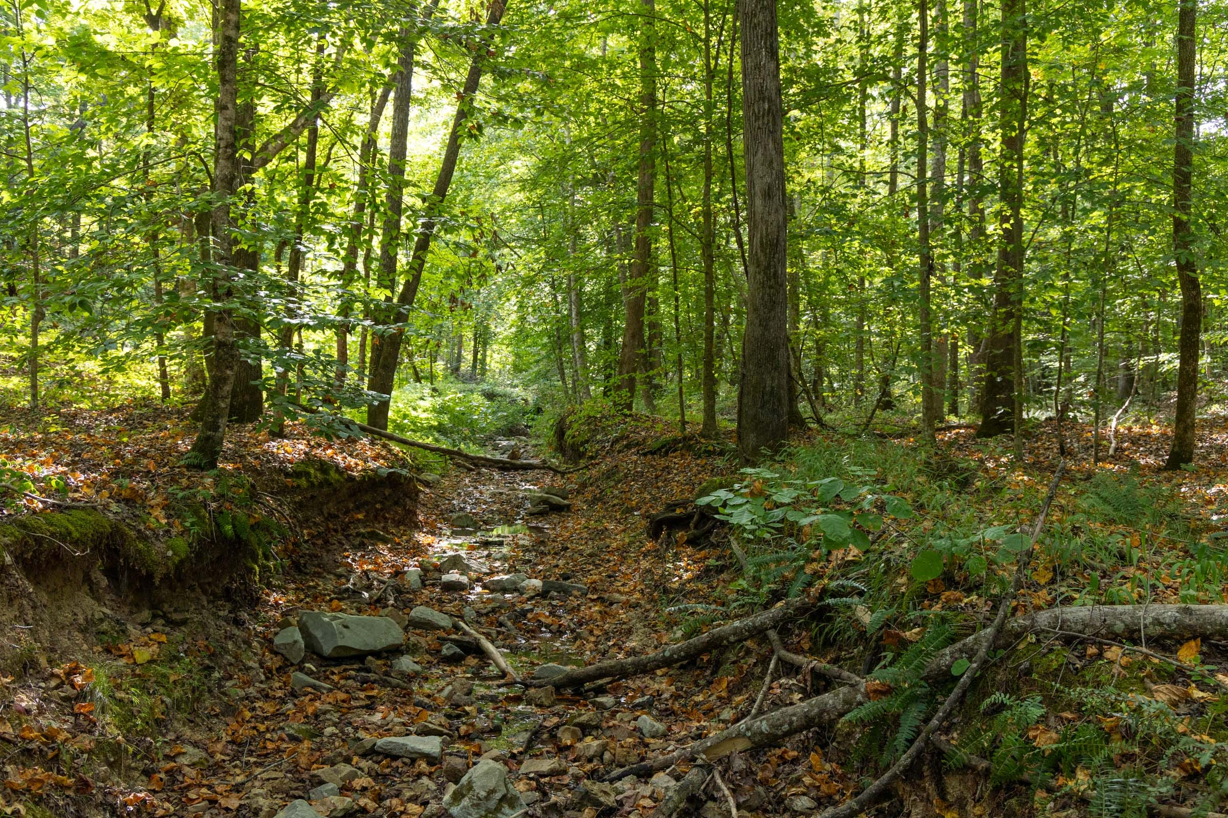 Tract 13 at Big White Oak in Perry County, Tennessee