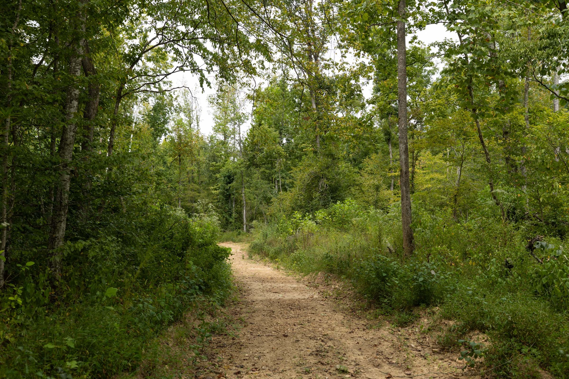 Tract 131 at Big White Oak in Perry County, Tennessee