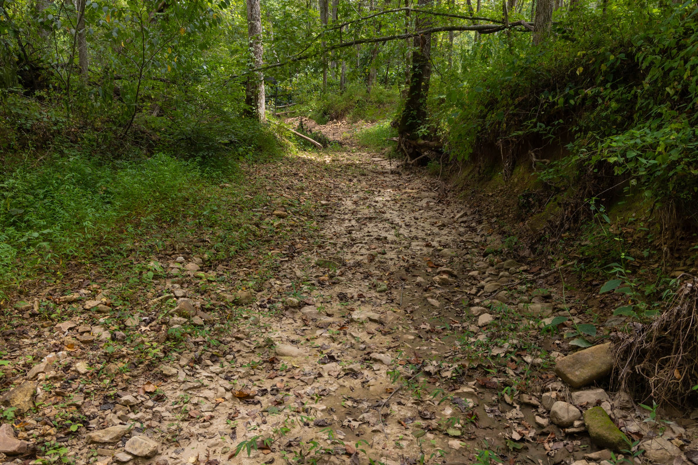 Tract 134 at Big White Oak in Perry County, Tennessee