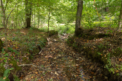 property photo for Big White Oak Tract 137, 12.4 acres for sale in Perry County, Tennessee
