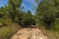 property photo for Big White Oak Tract 137, 12.4 acres for sale in Perry County, Tennessee