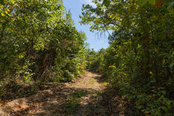 property photo for Big White Oak Tract 137, 12.4 acres for sale in Perry County, Tennessee