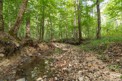 property photo for Big White Oak Tract 137, 12.4 acres for sale in Perry County, Tennessee
