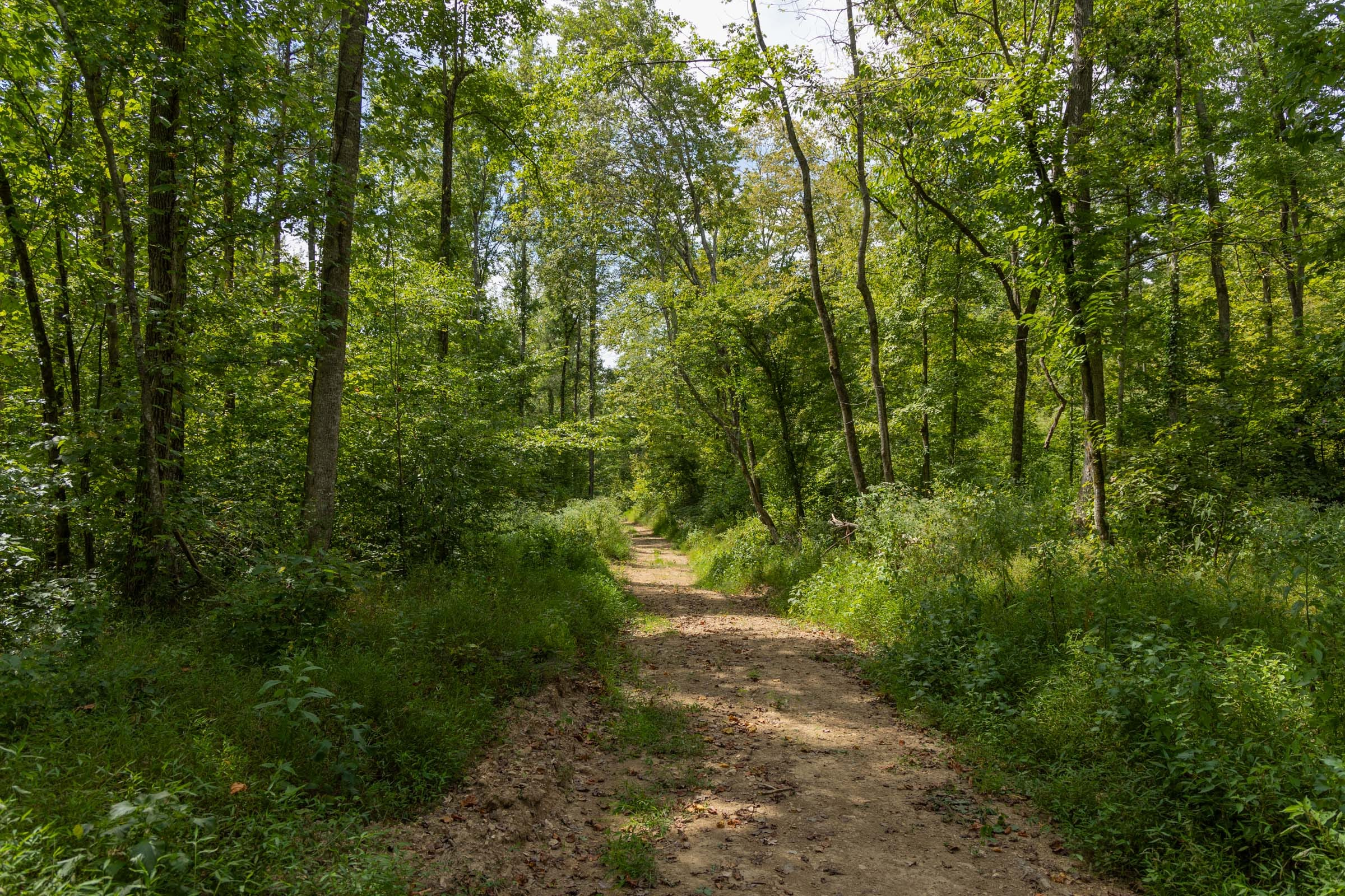Tract 138 at Big White Oak in Perry County, Tennessee