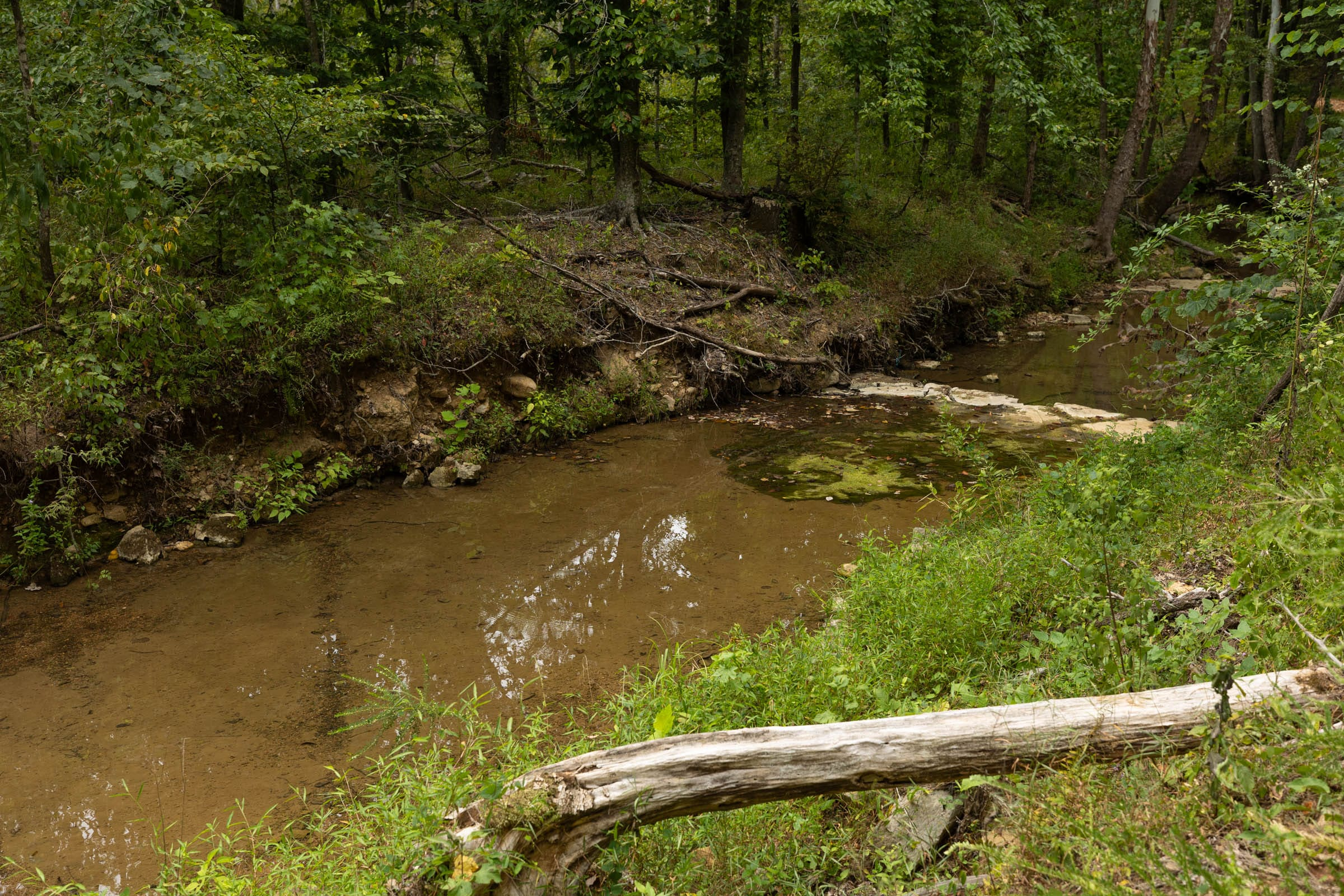 Tract 144 at Big White Oak in Perry County, Tennessee