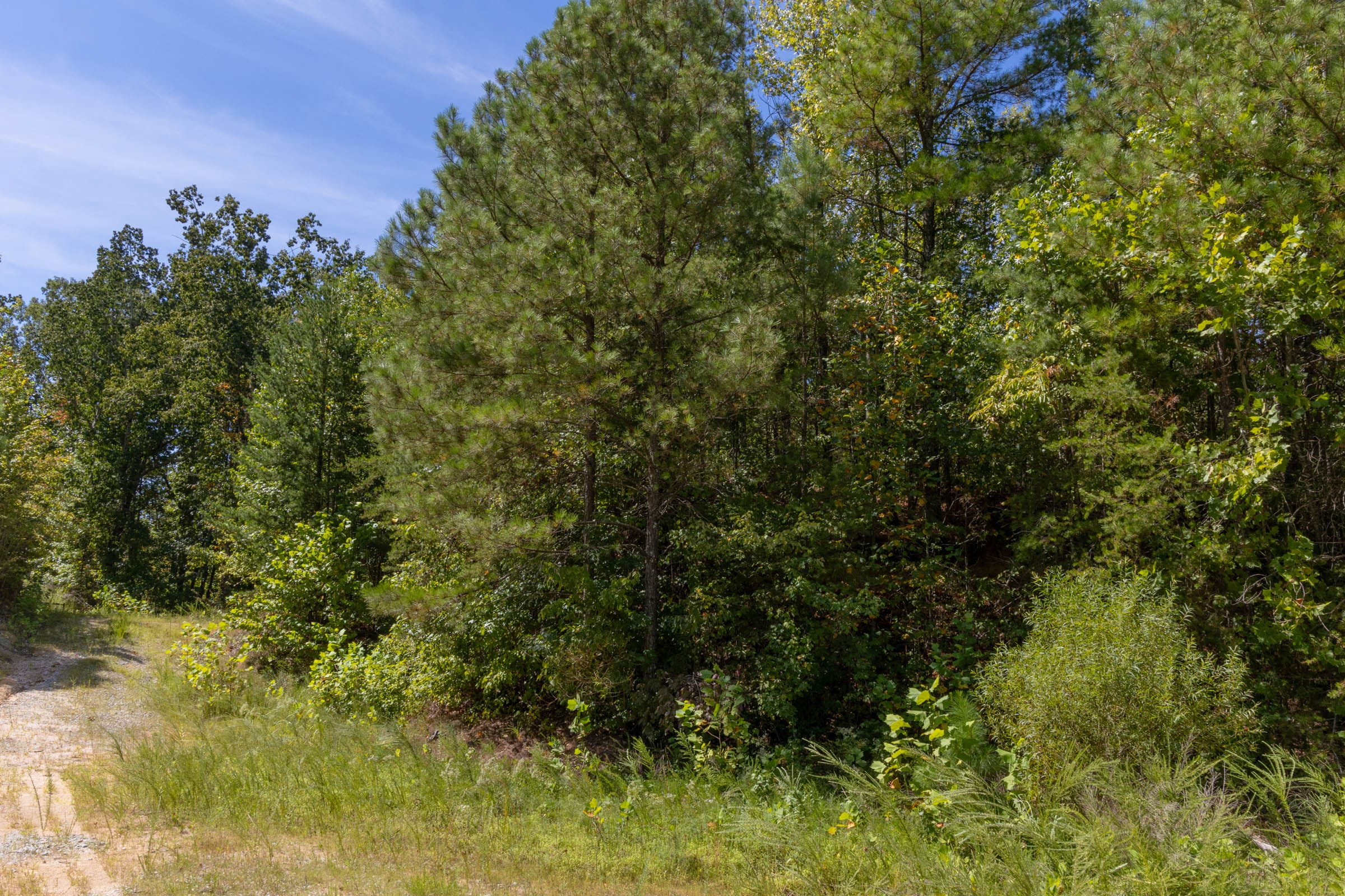 Tract 29 at Big White Oak in Perry County, Tennessee