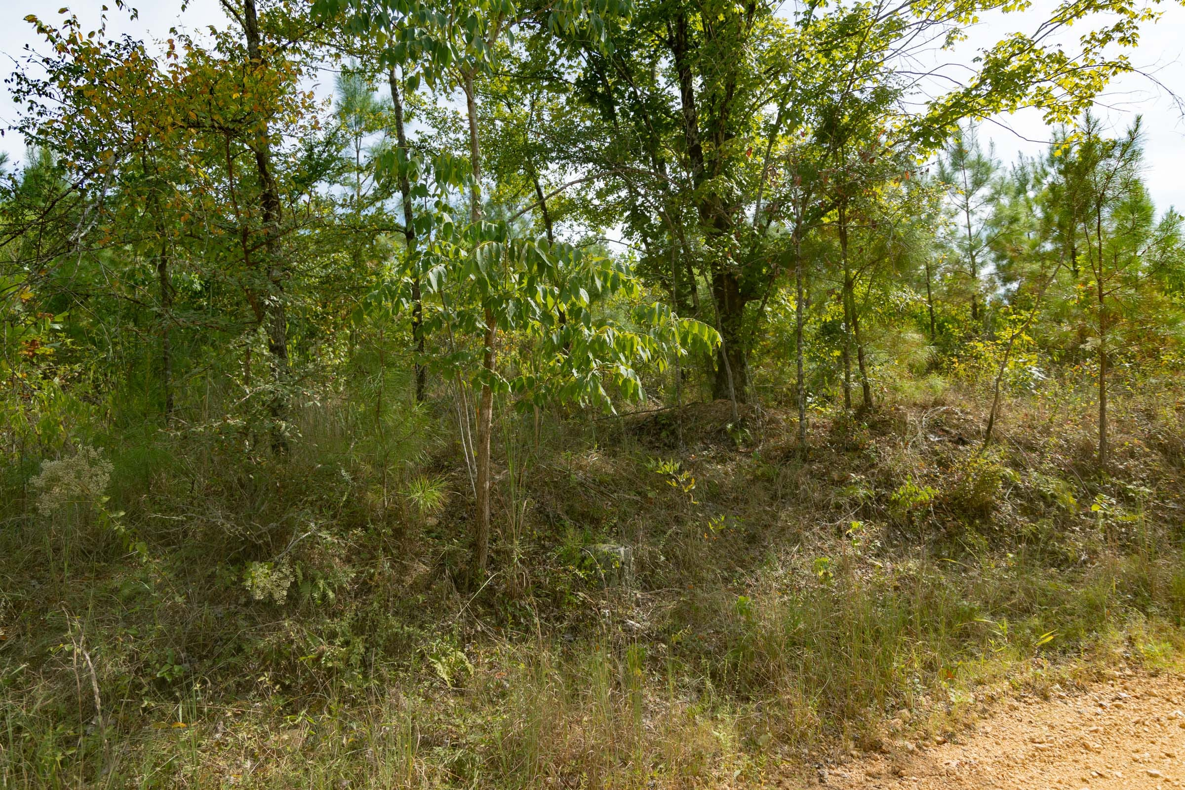 Tract 30 at Big White Oak in Perry County, Tennessee