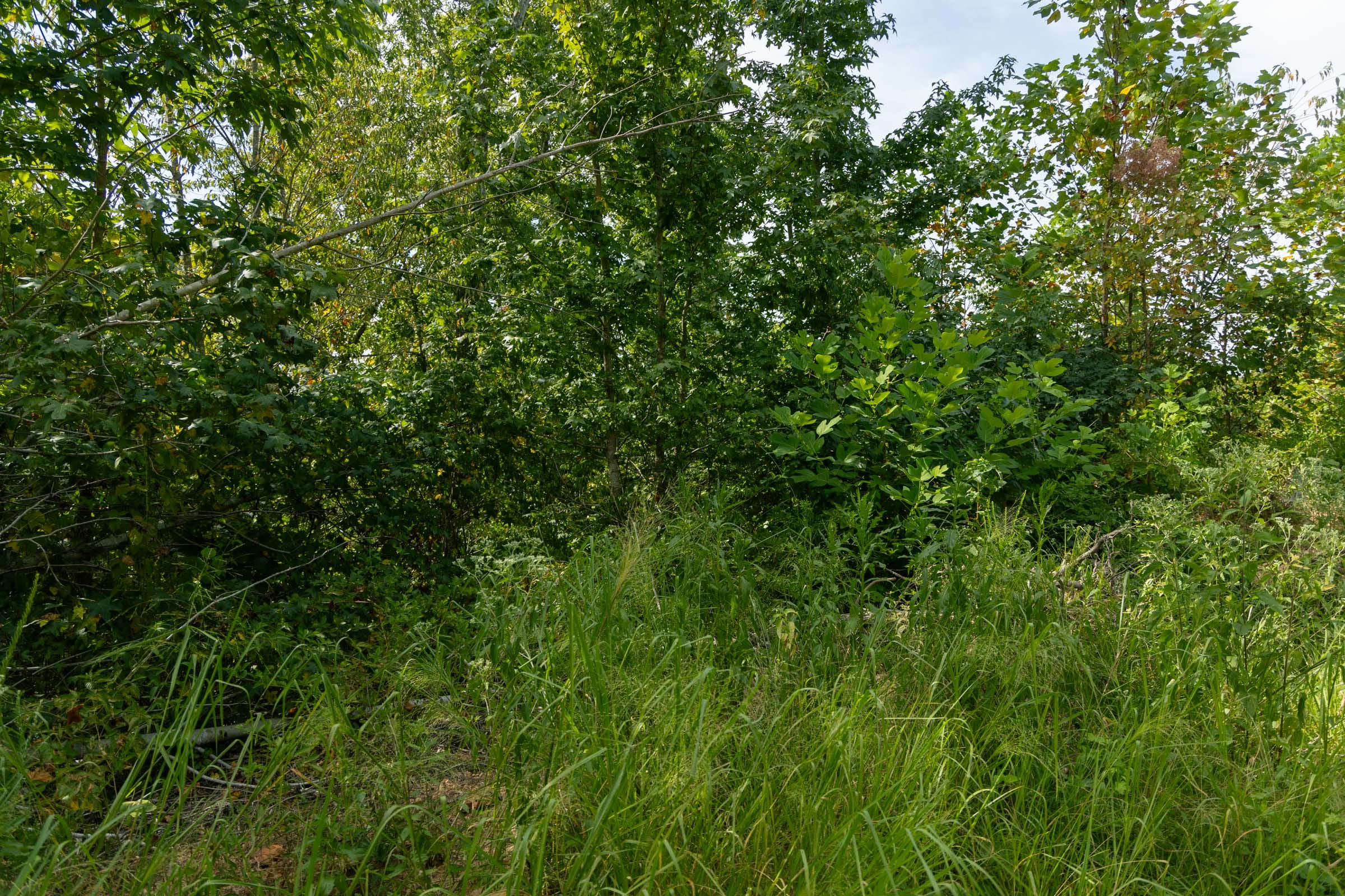 Tract 31 at Big White Oak in Perry County, Tennessee