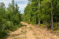 property photo for Big White Oak Tract 31, 6.33 acres for sale in Perry County, Tennessee