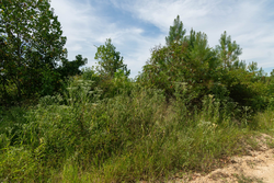 property photo for Big White Oak Tract 31, 6.33 acres for sale in Perry County, Tennessee