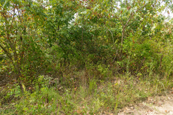 property photo for Big White Oak Tract 31, 6.33 acres for sale in Perry County, Tennessee
