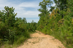 property photo for Big White Oak Tract 31, 6.33 acres for sale in Perry County, Tennessee
