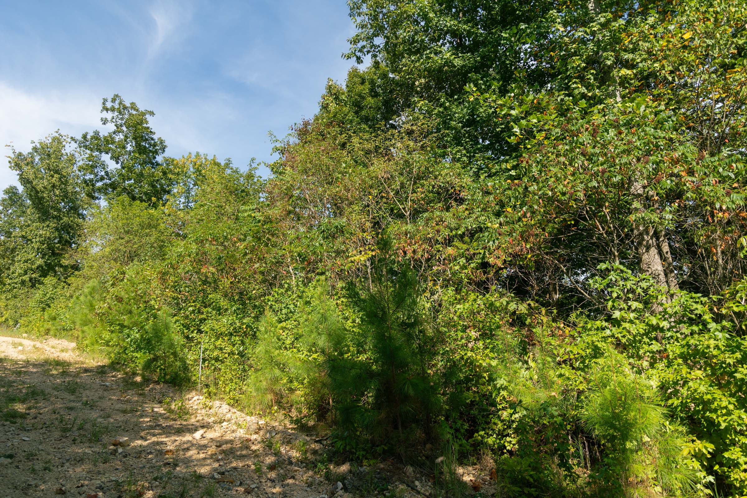Tract 38 at Big White Oak in Perry County, Tennessee