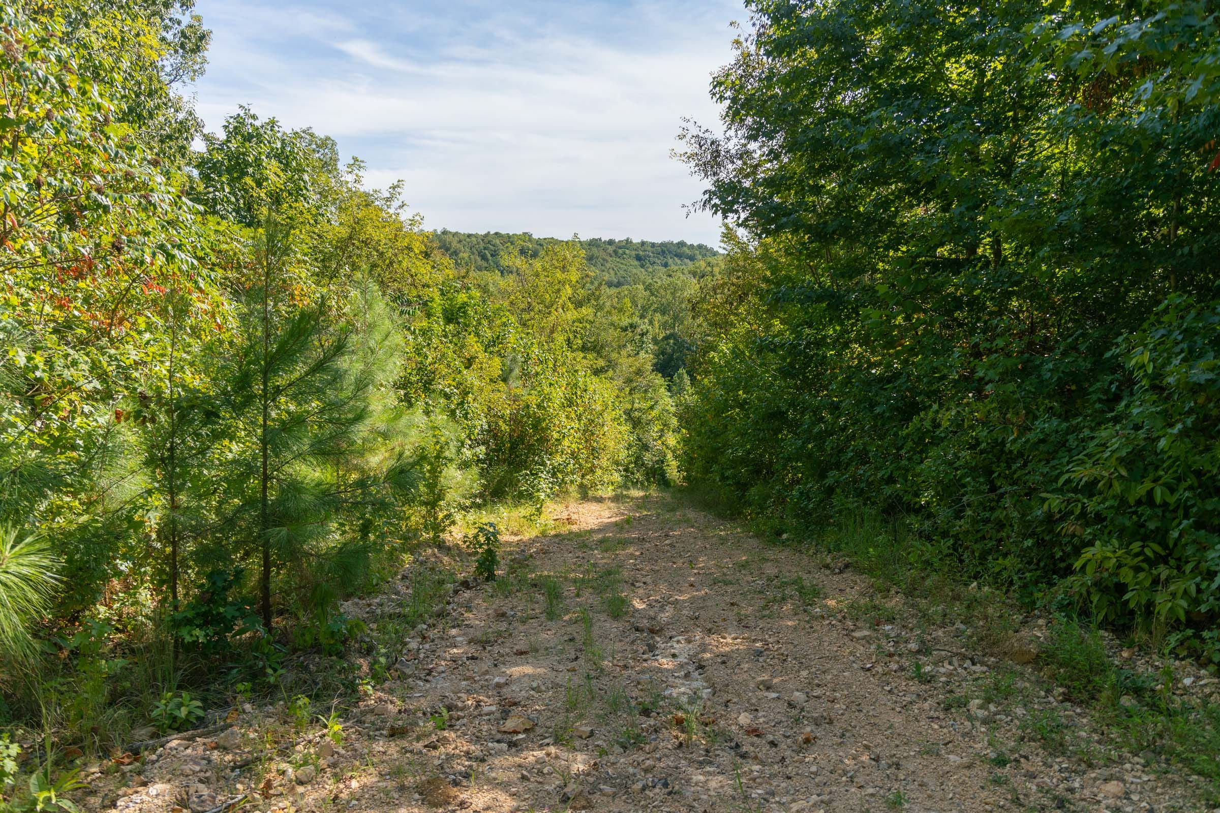 Big White Oak Â· Tract 38