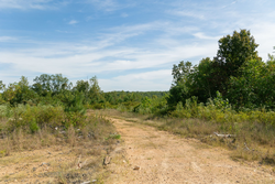 property photo for Big White Oak Tract 38, 5.76 acres for sale in Perry County, Tennessee