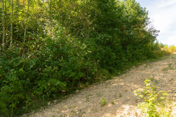 property photo for Big White Oak Tract 38, 5.76 acres for sale in Perry County, Tennessee