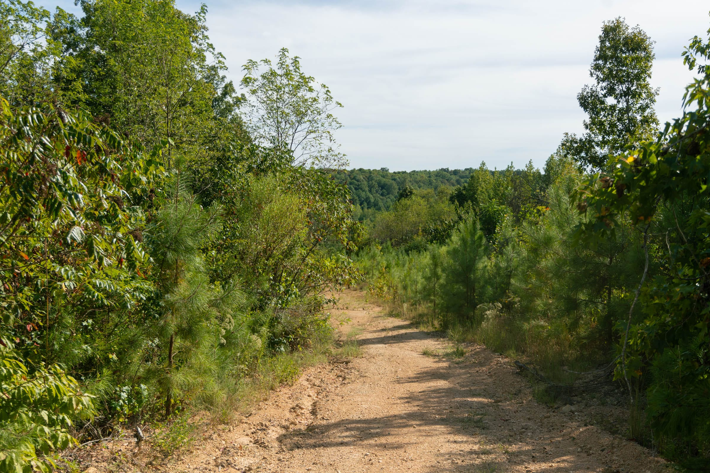 Big White Oak Â· Tract 39