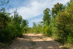 property photo for Big White Oak Tract 39, 5.52 acres for sale in Perry County, Tennessee