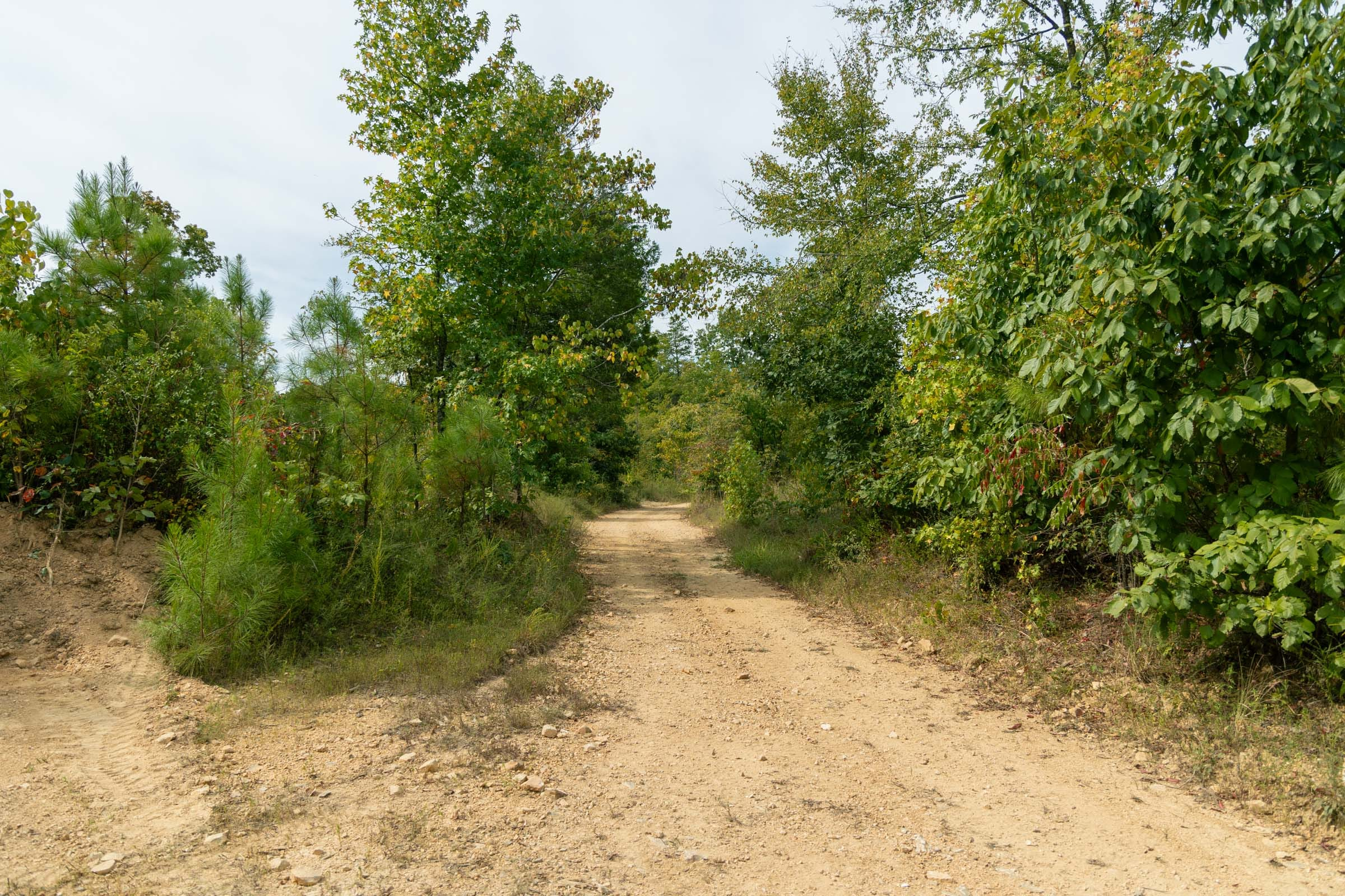 Big White Oak Â· Tract 47