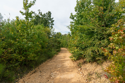 property photo for Big White Oak Tract 47, 8.43 acres for sale in Perry County, Tennessee