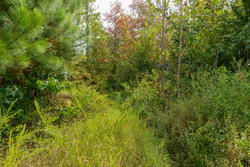 property photo for Big White Oak Tract 47, 8.43 acres for sale in Perry County, Tennessee