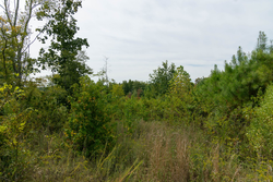 property photo for Big White Oak Tract 47, 8.43 acres for sale in Perry County, Tennessee