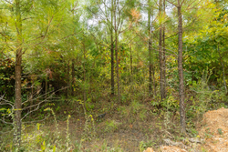 property photo for Big White Oak Tract 47, 8.43 acres for sale in Perry County, Tennessee