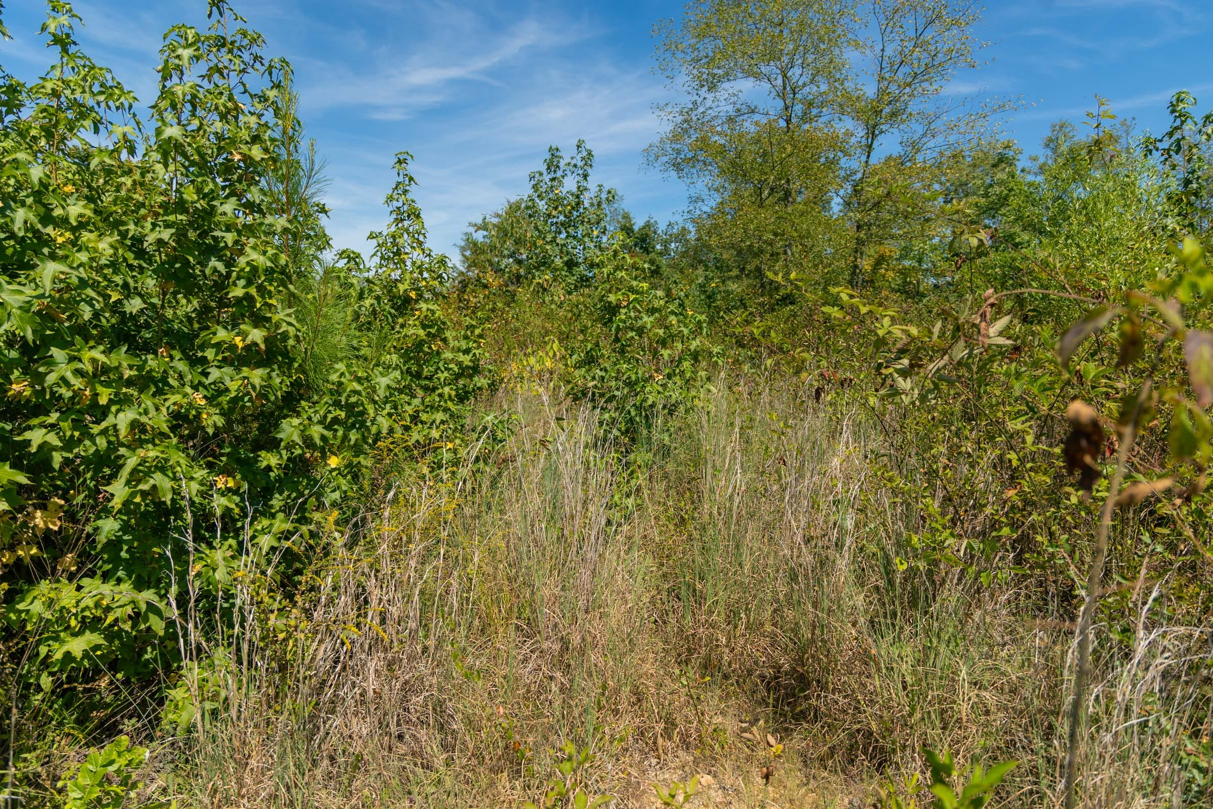 Tract 49 at Big White Oak in Perry County, Tennessee