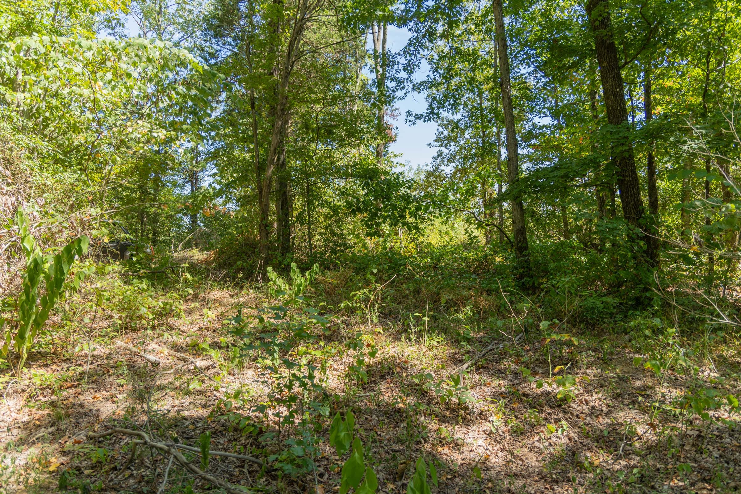 Tract 58 at Big White Oak in Perry County, Tennessee