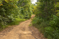 property photo for Big White Oak Tract 61, 7.56 acres for sale in Perry County, Tennessee