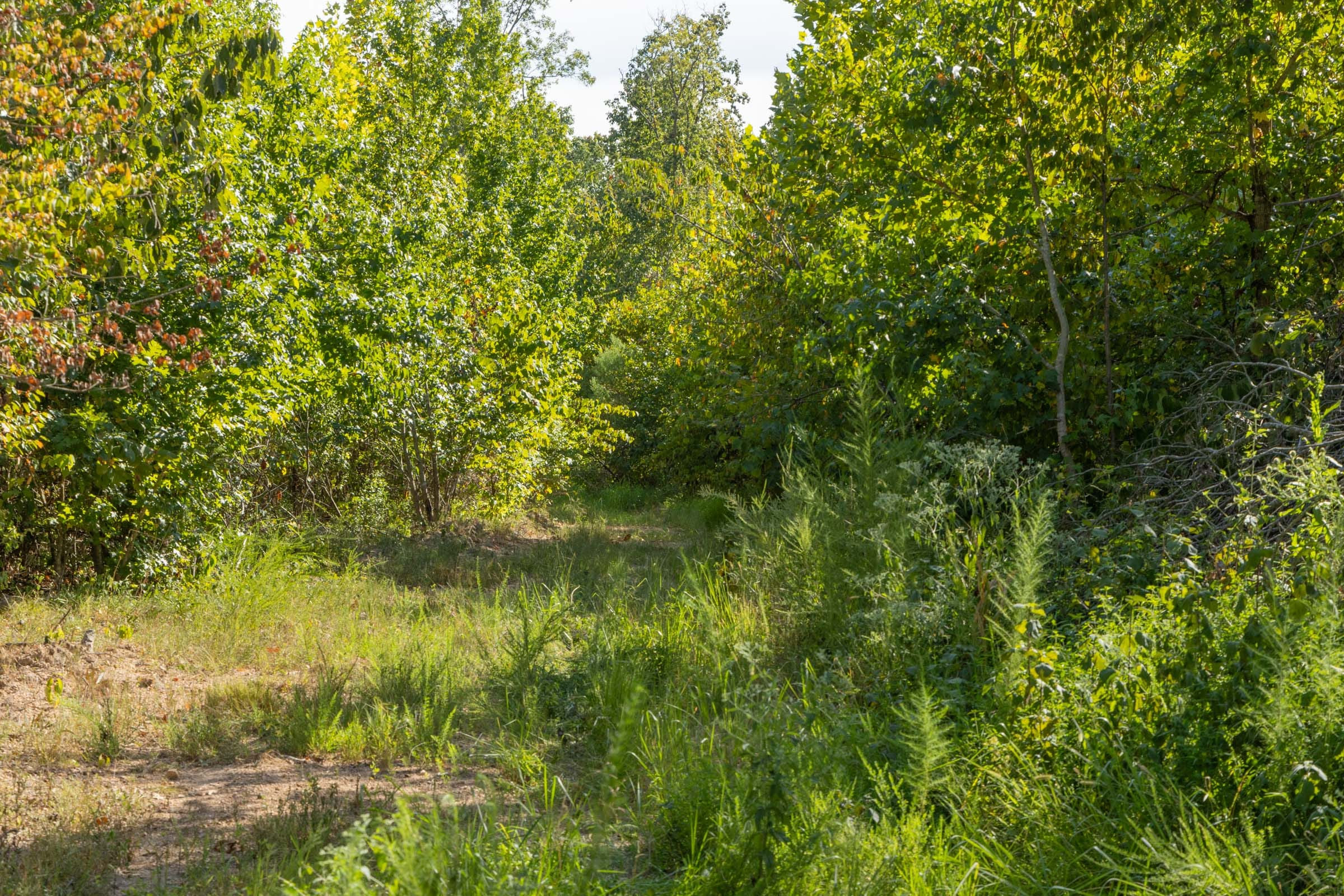 Tract 68 at Big White Oak in Perry County, Tennessee