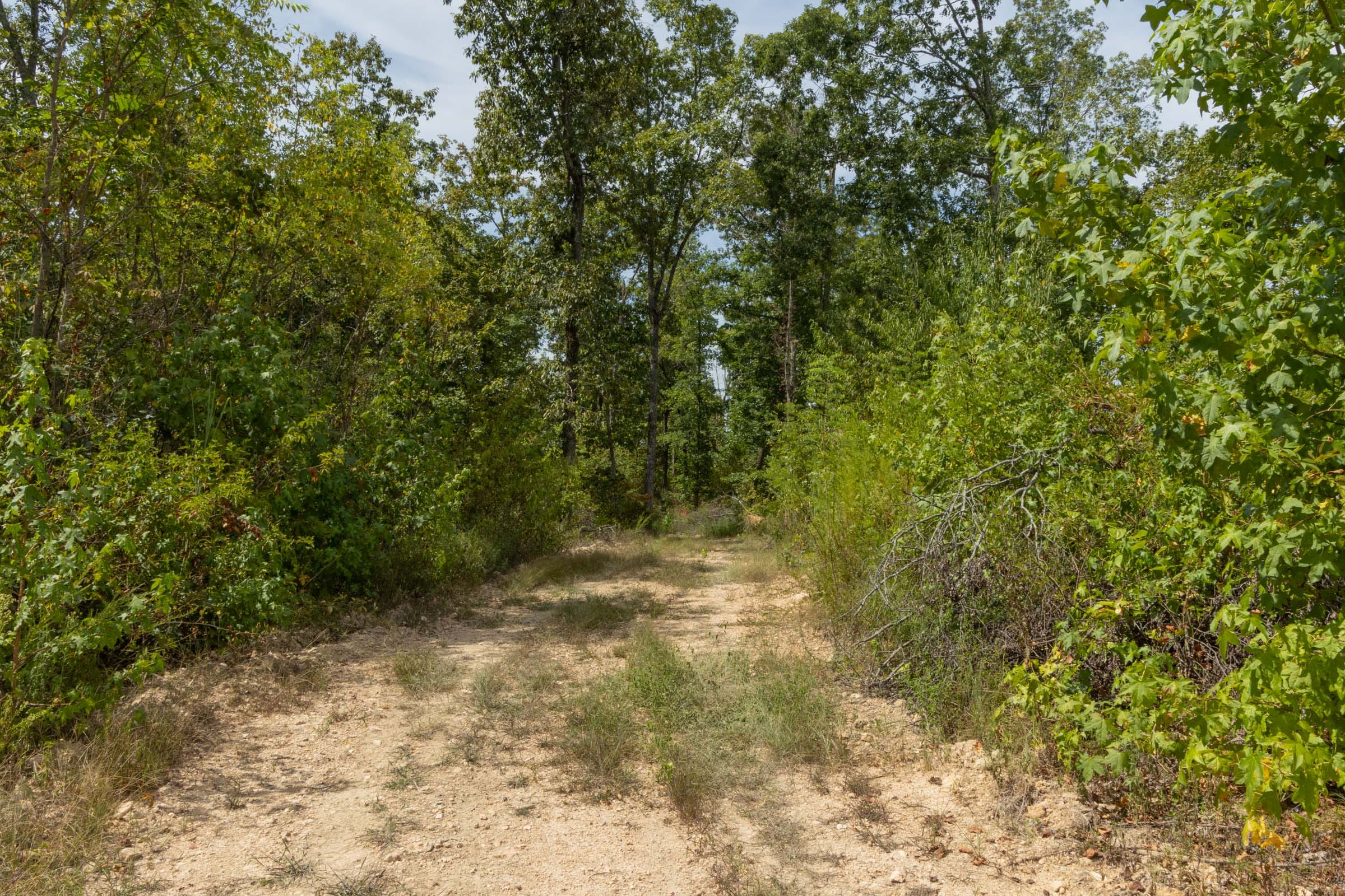 Big White Oak Â· Tract 77