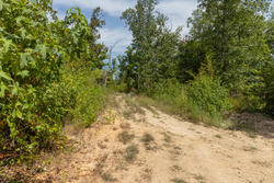 property photo for Big White Oak Tract 77, 6.61 acres for sale in Perry County, Tennessee