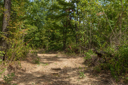 property photo for Big White Oak Tract 80, 8.2 acres for sale in Perry County, Tennessee