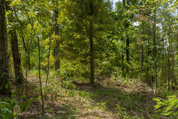 property photo for Big White Oak Tract 80, 8.2 acres for sale in Perry County, Tennessee