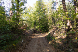 property photo for Big White Oak Tract 85, 13.06 acres for sale in Perry County, Tennessee