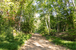 property photo for Big White Oak Tract 89, 10.49 acres for sale in Perry County, Tennessee