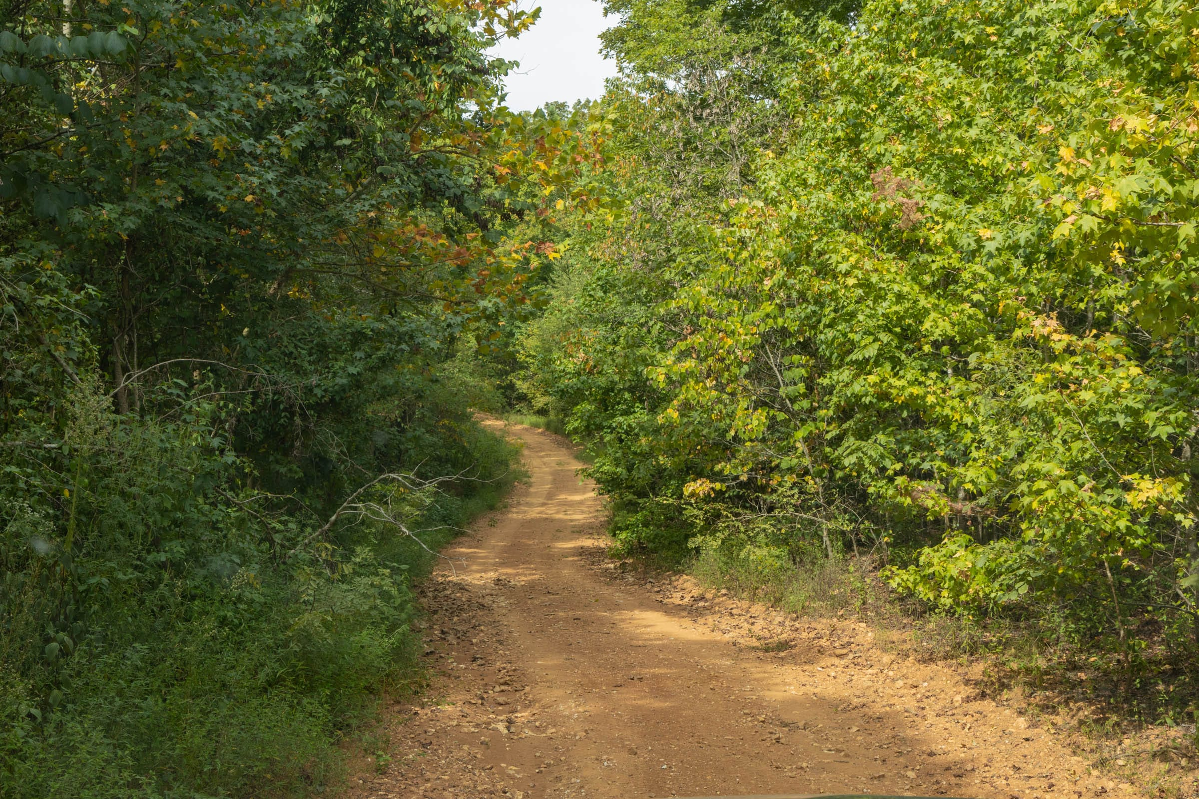 Tract 9 at Big White Oak in Perry County, Tennessee