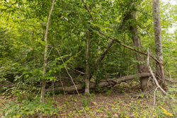 property photo for Big White Oak Tract 93, 14.06 acres for sale in Perry County, Tennessee