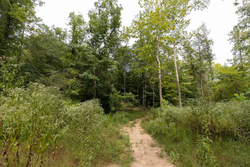 property photo for Big White Oak Tract 93, 14.06 acres for sale in Perry County, Tennessee