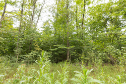 property photo for Big White Oak Tract 93, 14.06 acres for sale in Perry County, Tennessee
