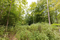 property photo for Big White Oak Tract 93, 14.06 acres for sale in Perry County, Tennessee