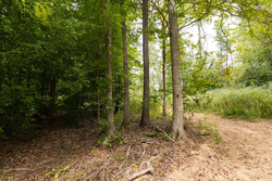 property photo for Big White Oak Tract 93, 14.06 acres for sale in Perry County, Tennessee