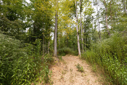 property photo for Big White Oak Tract 93, 14.06 acres for sale in Perry County, Tennessee