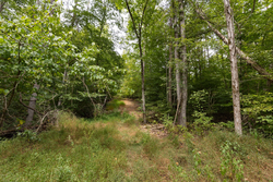 property photo for Big White Oak Tract 93, 14.06 acres for sale in Perry County, Tennessee