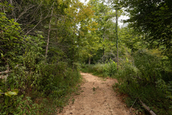property photo for Big White Oak Tract 93, 14.06 acres for sale in Perry County, Tennessee