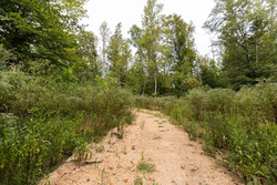 property photo for Big White Oak Tract 93, 14.06 acres for sale in Perry County, Tennessee